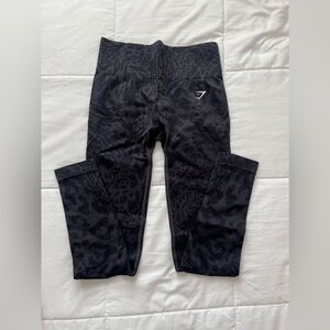 Brand new Adapt Safari